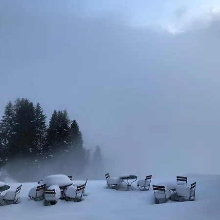 Alpina