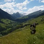Alpina